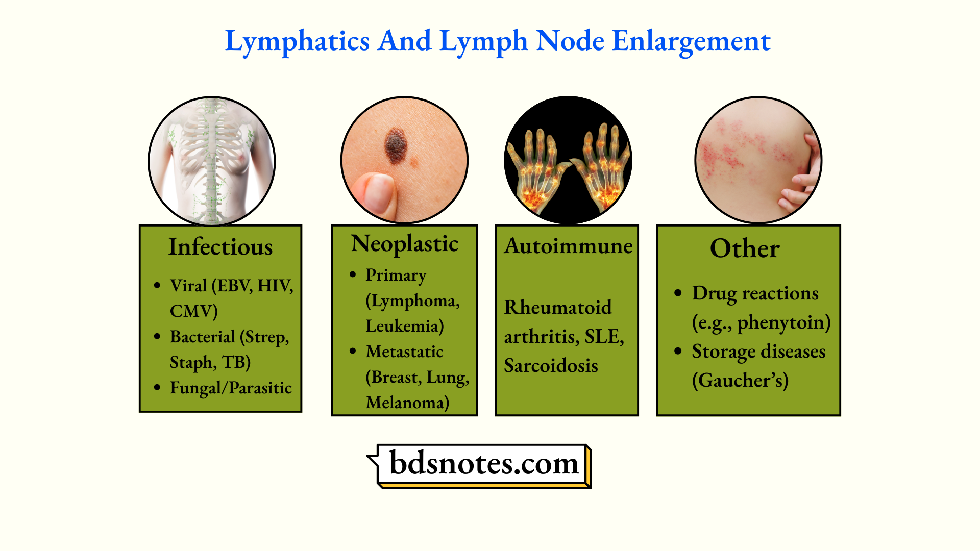 Infectious Neoplastic Autoimmune Lymph Nodes