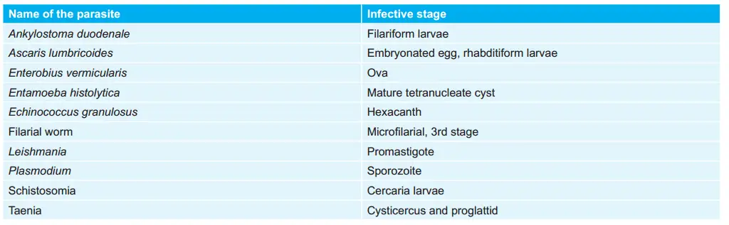 Infective Stages of Various Parasites