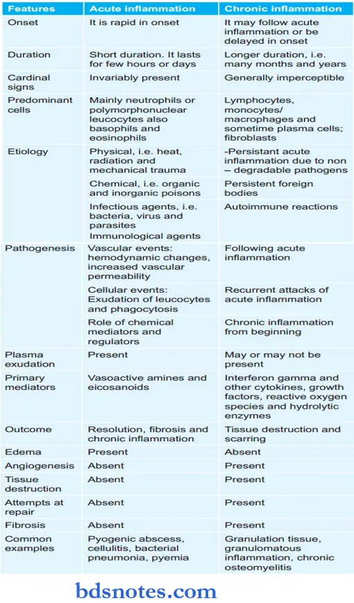 Inflammation And Healing Differences Between Acute And Chronic Inflammation