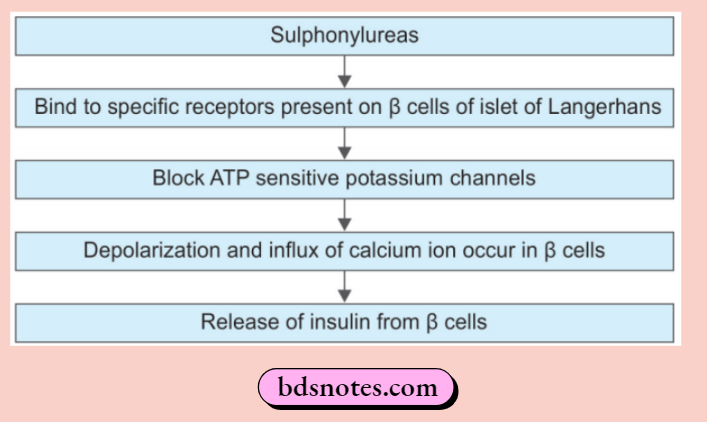 Insulin And Oral Hypoglycemic Drugs Mechanism Of-Action