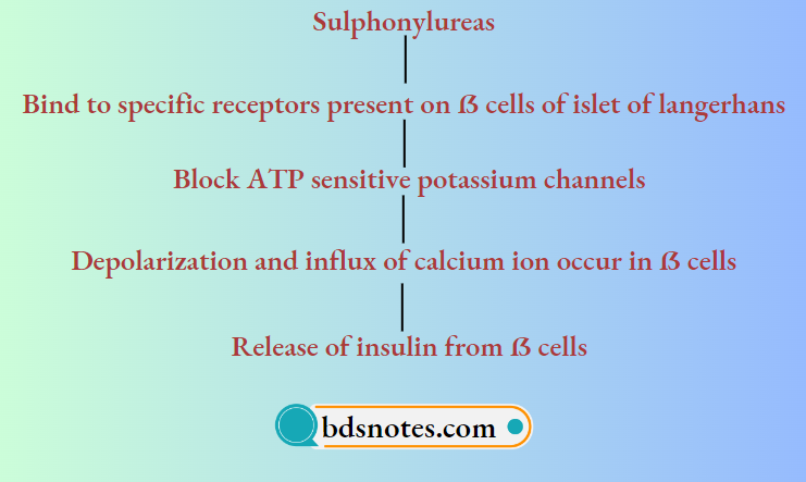 Insulin And Oral-Hypoglycemic-Drugs-Sulphonylureas