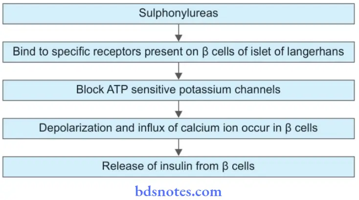Insulin And Oral Hypoglycemic Drugs Sulphonylureas