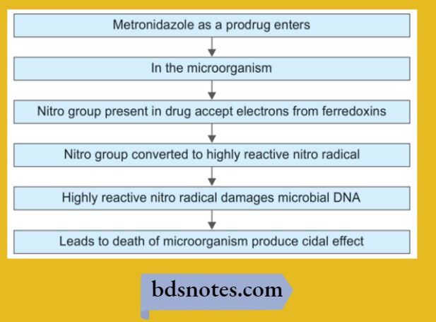 Metronidazole Prodrug Activation Mechanism