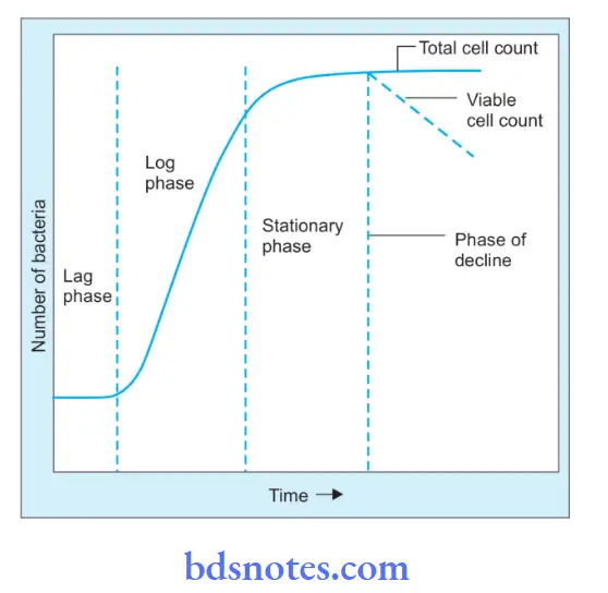 Microscopy And Morphology Of Bacterial growth curve