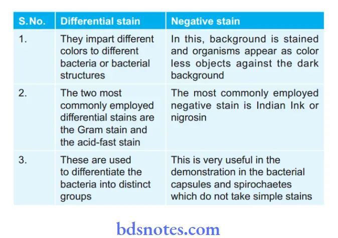 Microscopy And Morphology of Bacteria Differential Stain and Negative stain
