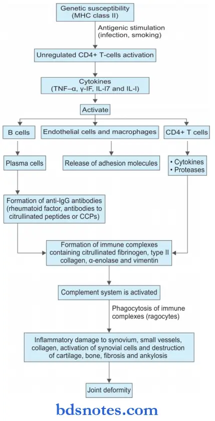 Musculoskeletal System Pathophysiology Of Rheumatoid Arthritis