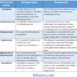 Mycology Oral myotic lesions and Etiological agent and pathogenesis