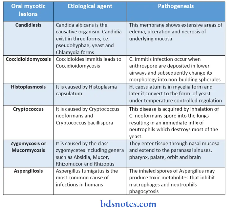 Mycology Oral myotic lesions and Etiological agent and pathogenesis