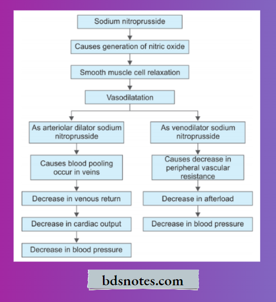 Nitroprusside NO Release Mechanism