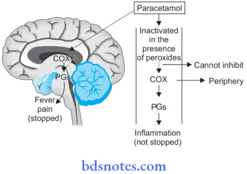 Nonsteroidal Antiinflammatory Drugs And Antipyretic Analgesics Diagram Explaining Weak Anti-Inflammatory Action Of Paracetamol