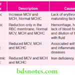Oral Medicine Blood Disorders Morphologic Classification