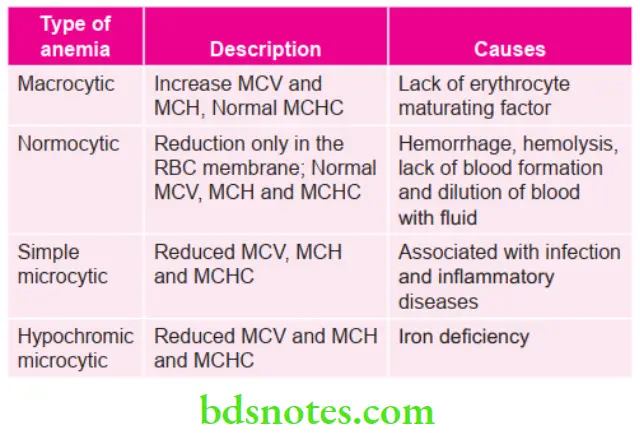Oral Medicine Blood Disorders Morphologic Classification