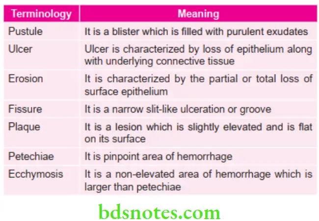 Oral Medicine Important Terminologies With Their Meanings In Oral Pathology 2