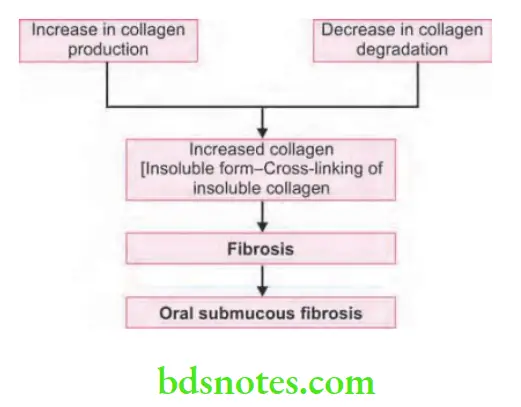 Oral Medicine Oral Premalignant Lesions And Conditions Overall Effect Of TGF-b Pathway