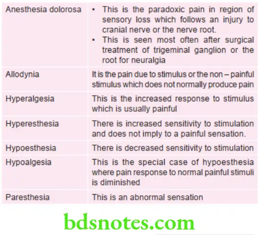 Oral Medicine Taxonomy Of Pain 1