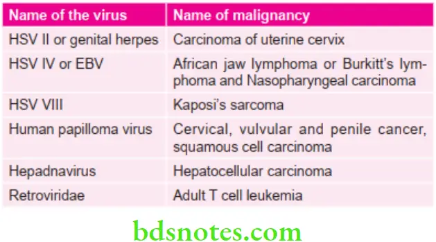 Oral Medicine Various Malignancies Caused By Viruses