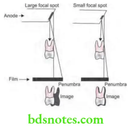 Oral Radiology Intraoral Radiographic Techniques Principles Of Projection Geometry 1
