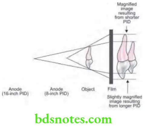 Oral Radiology Intraoral Radiographic Techniques Principles Of Projection Geometry 2