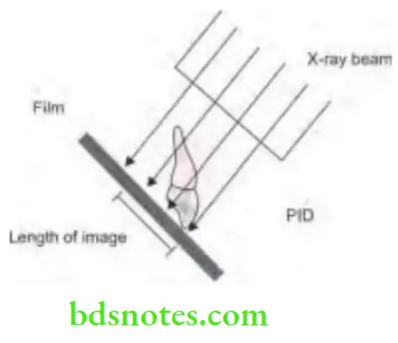 Oral Radiology Intraoral Radiographic Techniques Principles Of Projection Geometry 4