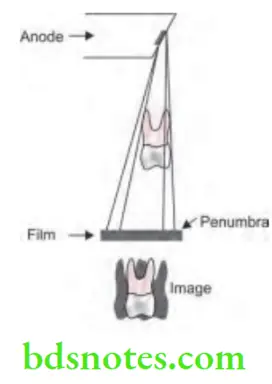Oral Radiology Intraoral Radiographic Techniques Principles Of Projection Geometry 6