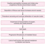 Oral Radiology Radiation Biology Pathogenesis Of Chronic Effect