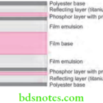 Oral Radiology X-Ray Films And Accessories Intensifying Scrren
