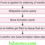 Orthodontics Arch Expansion As Method Of Gaining Space Principle Of Rapid Maxillary Expansion