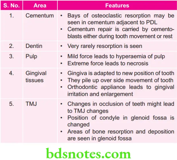 Orthodontics Biology Of Tooth Movement Tissue Changes in Other Areas
