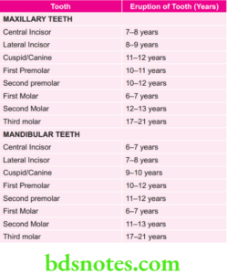Development Of Dentition And Occlusion Question And Answers - BDS Notes