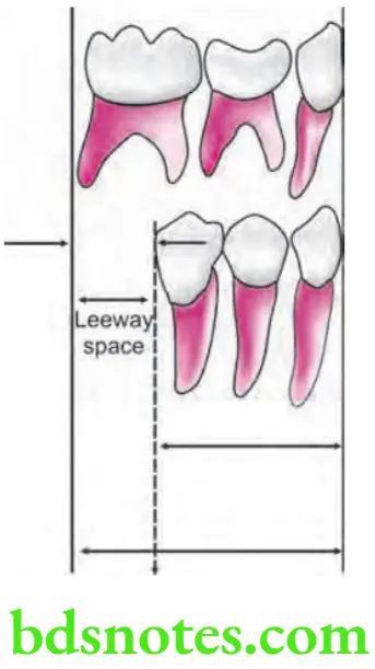 Orthodontics Development Of Dentition And Occlusion Leeway Space of Nance
