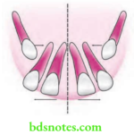 Orthodontics Development Of Dentition And Occlusion Ugly Duckling Stage Of Definition