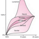 Orthodontics Growth And Development General Principles And Concepts Scammon's Growth Curve