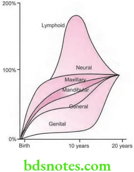 Orthodontics Growth And Development General Principles And Concepts Scammon's Growth Curve