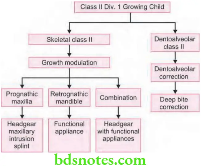Orthodontics Management Of Class 2 Malocclusion Flow Chart With Growing Child