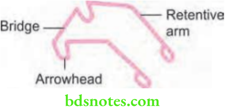 Adams Clasp Theory And Fabrication - BDS Notes