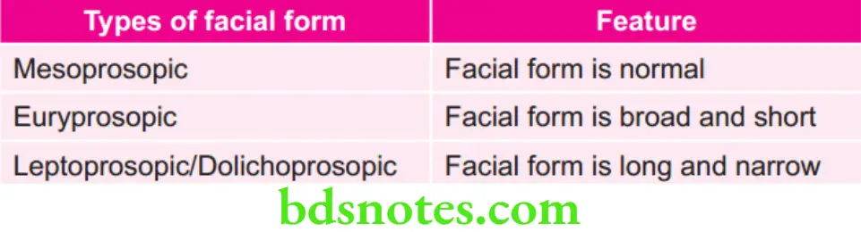 Orthodontics Types of Facial Form