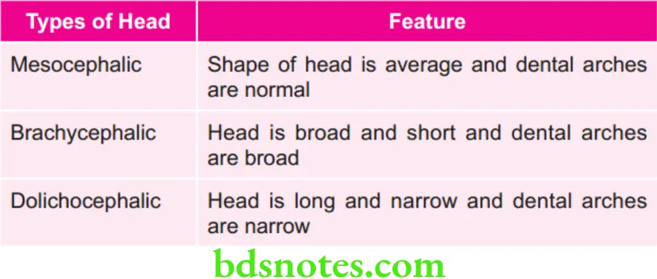 Orthodontics Types of Head