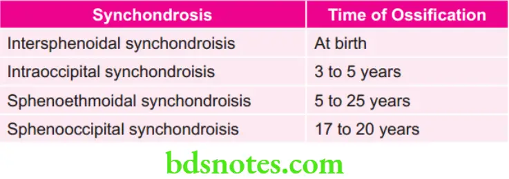Orthodontics Various Synchondrosis And Their Time Of Ossification