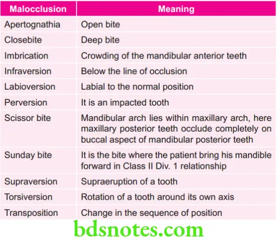 Orthodontics Various Types of Malocclusions and Their Meanings