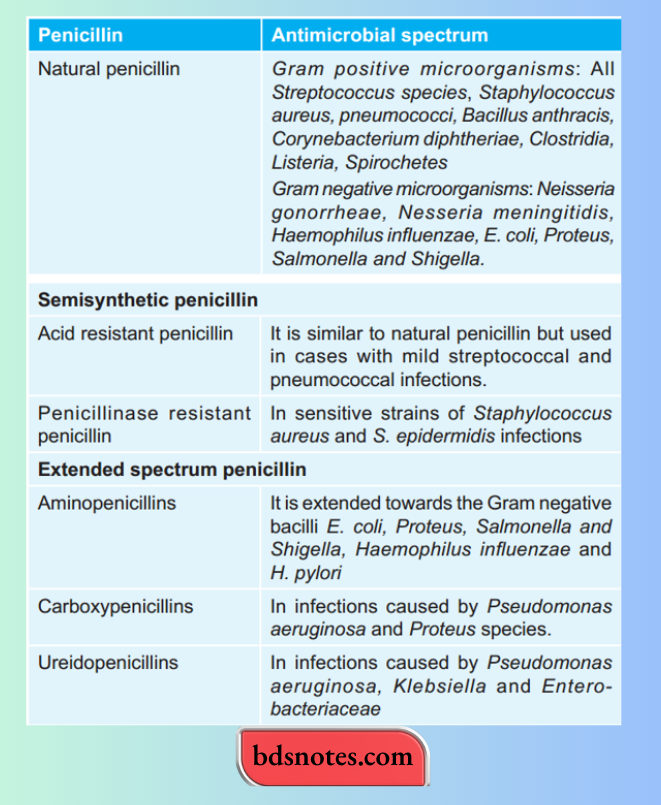 Penicillin Spectrum Coverage Natural Semisynthetic_Extended