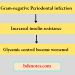 Periodontal Infection Insulin Resistance