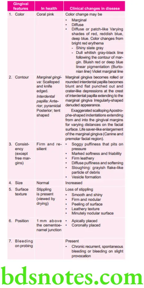 Periodontics Clinical Features Of Gingivitis Gingiva in health