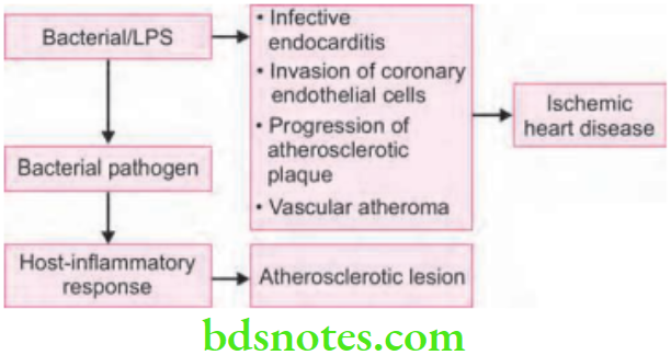 Periodontics Periodontal Medicine And Influence Of Systemic Disorders These Pathways Include the Following