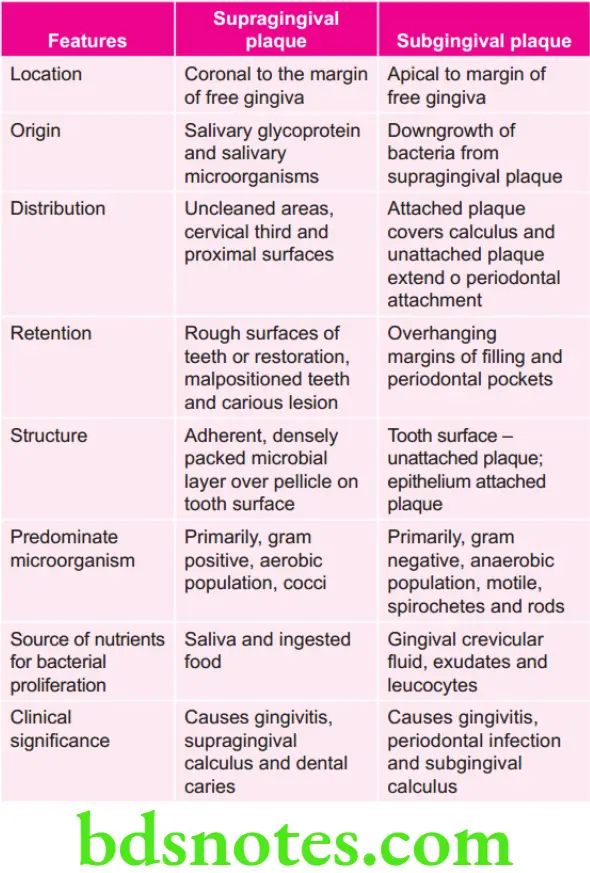 Periodontics Periodontal Microbiology Supragingival and Subgingival plaque