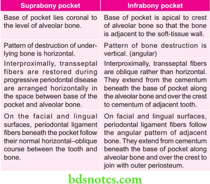 Periodontics Periodontal Pocket Suprabony and infrabony periodontal pocket