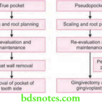 Periodontics Periodontal Pocket Treatment Depending on the Type of Pocket