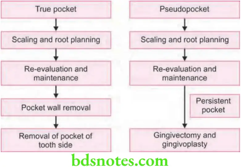 Periodontics Periodontal Pocket Treatment Depending on the Type of Pocket