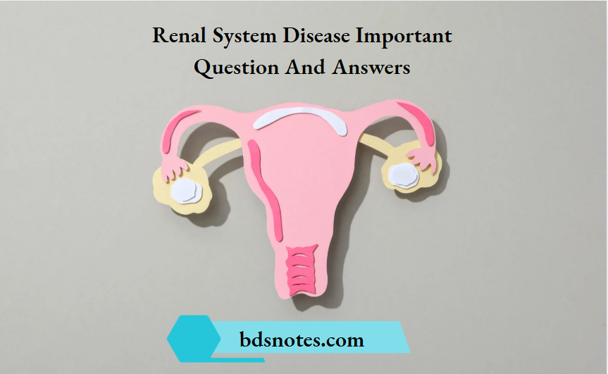 Renal System Disease Important Question And Answers