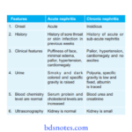 Renal System differentiate acute and chronic nephritis