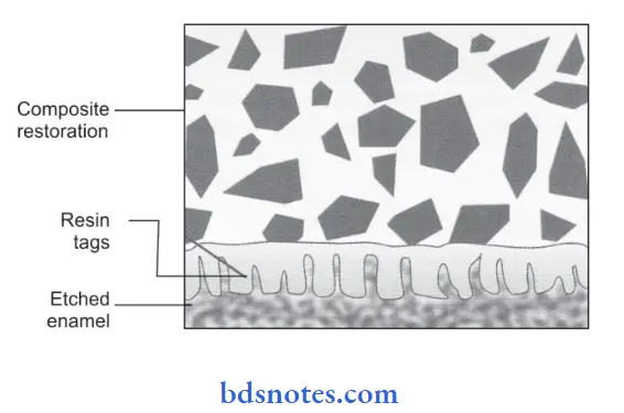 Resin Based Composites And Bonding Agents Adhesion of composite to etched enamel